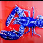The history of the two wild blue lobsters that science studies: what is its strange mutation